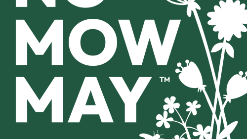 No Mow May